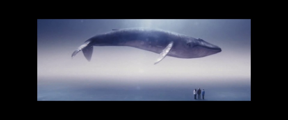 Open University Blue Whale